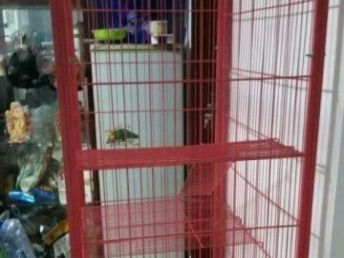 北京地區(qū)八成新貓咪用品組合優(yōu)惠轉(zhuǎn)讓